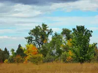 autumn 2016 1.webp