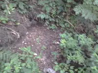 20160819_133141.webp
