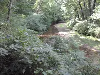 20160819_133146.webp