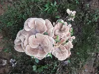 IMG_0061_edited-1.webp