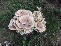 IMG_0062_edited-1.webp