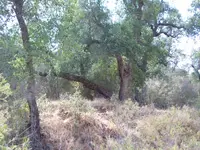 101_0416.webp 101_0416.webp