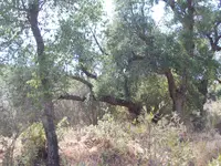 101_0417.webp 101_0417.webp