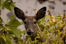 K1600_IMG_7363.webp