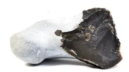 rawrock-640x360.webp rawrock-640x360.webp