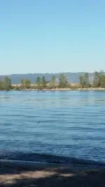 20160820_093606.webp 20160820_093606.webp