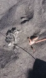 20160821_101214.webp 20160821_101214.webp