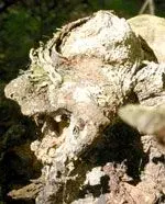 gargoyle.webp gargoyle.webp