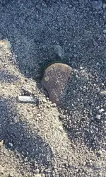 20160828_081901.webp
