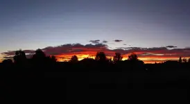 sunrise 101616 1.webp