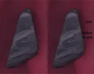 stone.webp