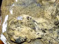 20160420_190518.webp