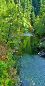 DSCN0983.webp