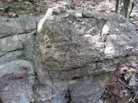 valley turtle 7, resize.webp valley turtle 7, resize.webp