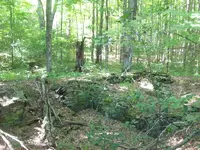 100_4417.webp