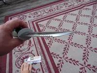 SAM_0311_8.webp