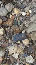 ImageUploadedByTreasureNet.com1474591607.885746.webp