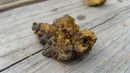 20160903_132644.webp