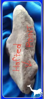 20161001_013322.webp