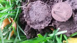 20161007_150221.webp
