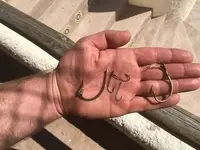 Hooks.webp