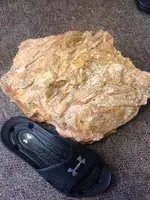 ImageUploadedByTreasureNet.com1476639122.151193.webp