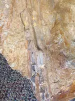 ImageUploadedByTreasureNet.com1476639187.070031.webp