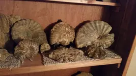 20160825_205915.webp