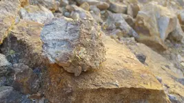 20160905_094020.webp