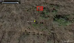 Trap check.webp