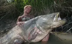 ImageUploadedByTreasureNet.com1473983240.830099.webp