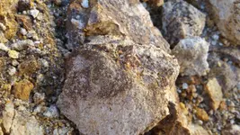 20160905_094202.webp