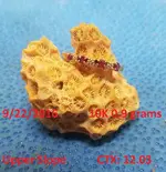 DocBeav 2016 Gold Ring #18.webp