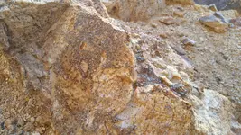 20160905_100202_001.webp