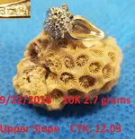 DocBeav 2016 Gold Ring #19.webp DocBeav 2016 Gold Ring #19.webp