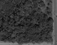 01.webp