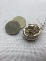 ImageUploadedByTreasureNet.com1475346185.690843.webp ImageUploadedByTreasureNet.com1475346185.690843.webp