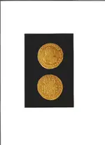4 ESCUDO.webp