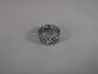 DSCF5245.webp