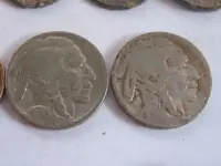 10252016 Buffalo Nickles.webp