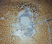 20160915_210835.webp