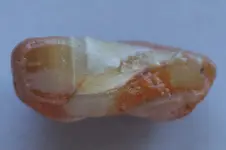 Agate-2016-10-01-Img_2132SSS.webp