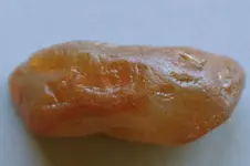 Agate-2016-10-01-Img_2134SSS.webp