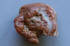 Agate-2016-10-01-Img_2137SSS.webp Agate-2016-10-01-Img_2137SSS.webp