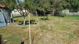 20160923_131805.webp