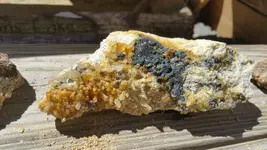 20160905_122355_001.webp