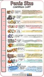 Animal_1ae984_1638725.webp