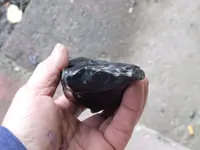 DSCF1569.webp