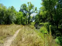 bike ride 091516 7.webp