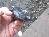 DSCF1573.webp